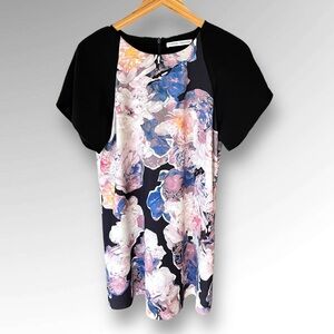 Finders Keepers Floral Prism Dress